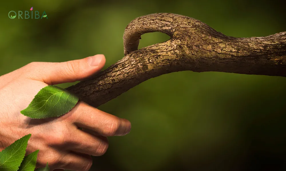 Neden Hayatımızdan Kimyasalı Çıkarıp Bitkisel Ürünleri Tercih Etmeliyiz?