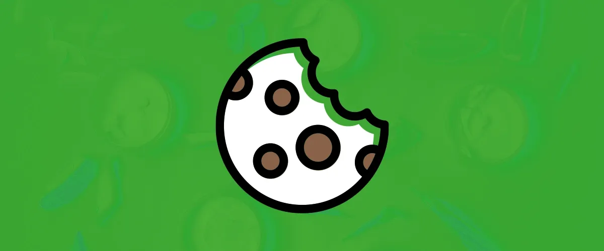 Çerez ve Gizlilik Politikası