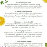 Orbiba Koruyucu Sprey Thumb